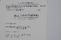 臺灣狗脊蕨藏品圖，第2張