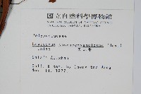 麟瓦葦、川上氏瓦葦藏品圖，第2張