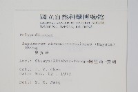 粵瓦葦藏品圖，第2張