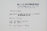 擬烏蘇里瓦葦藏品圖，第2張