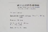 瓦葦藏品圖，第2張