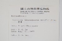 瓦葦藏品圖，第2張