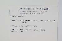 瓦葦藏品圖，第2張