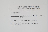 瓦葦藏品圖，第2張