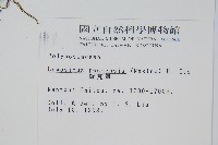 擬瓦葦藏品圖，第2張