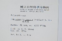 擬瓦葦藏品圖，第2張