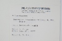 擬瓦葦藏品圖，第2張