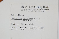 台灣劍蕨藏品圖，第2張