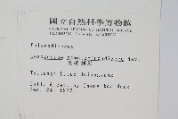 長柄劍蕨藏品圖，第2張