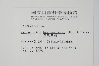 波氏星蕨藏品圖，第2張