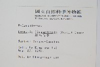 絨毛石葦藏品圖，第2張