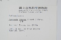 石葦藏品圖，第2張