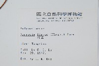 石葦藏品圖，第2張