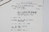 玉山石葦藏品圖，第2張