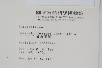 盧山石葦藏品圖，第2張