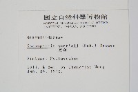 蒿蕨藏品圖，第2張