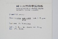 蒿蕨藏品圖，第2張