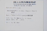 碗蕨藏品圖，第2張