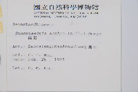 碗蕨藏品圖，第2張