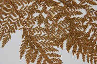 碗蕨藏品圖，第4張