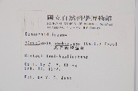 虎克氏鱗蓋蕨藏品圖，第2張