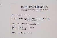 虎克氏鱗蓋蕨藏品圖，第2張