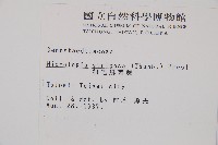 粗毛鱗蓋蕨藏品圖，第2張