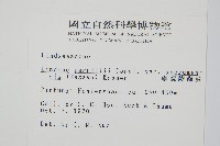 攀緣陵齒蕨、攀緣鱗始蕨藏品圖，第2張