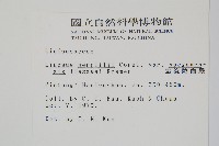 攀緣陵齒蕨、攀緣鱗始蕨藏品圖，第2張