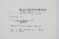 陵齒蕨、鱗始蕨藏品圖，第2張