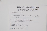 烏蕨藏品圖，第2張