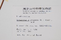 烏蕨藏品圖，第2張