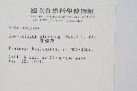 達邊蕨藏品圖，第2張