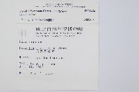 大葉骨碎補、台灣骨碎補、骨碎補藏品圖，第2張