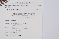 大葉骨碎補、台灣骨碎補、骨碎補藏品圖，第2張