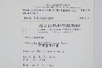 杯狀蓋陰石蕨藏品圖，第2張