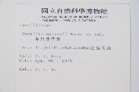 海州骨碎補藏品圖，第2張