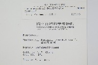 臺灣粉背蕨藏品圖，第2張