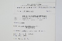 細葉碎米蕨藏品圖，第2張