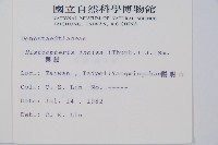 栗蕨藏品圖，第2張