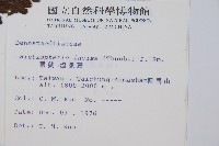 栗蕨藏品圖，第2張