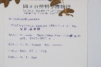 栗蕨藏品圖，第2張