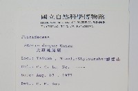 天草鳳尾蕨藏品圖，第2張