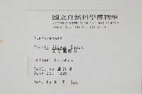 天草鳳尾蕨藏品圖，第2張