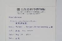 箭葉鳳尾蕨藏品圖，第2張