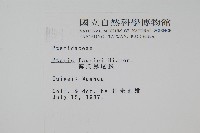 傅氏鳳尾蕨藏品圖，第2張