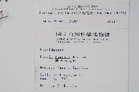 紅柄鳳尾蕨藏品圖，第2張