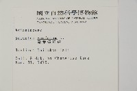 馬來鐵線蕨藏品圖，第2張