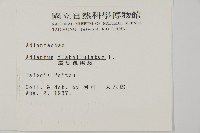 扇葉鐵線蕨藏品圖，第2張