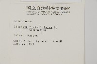 扇葉鐵線蕨藏品圖，第2張